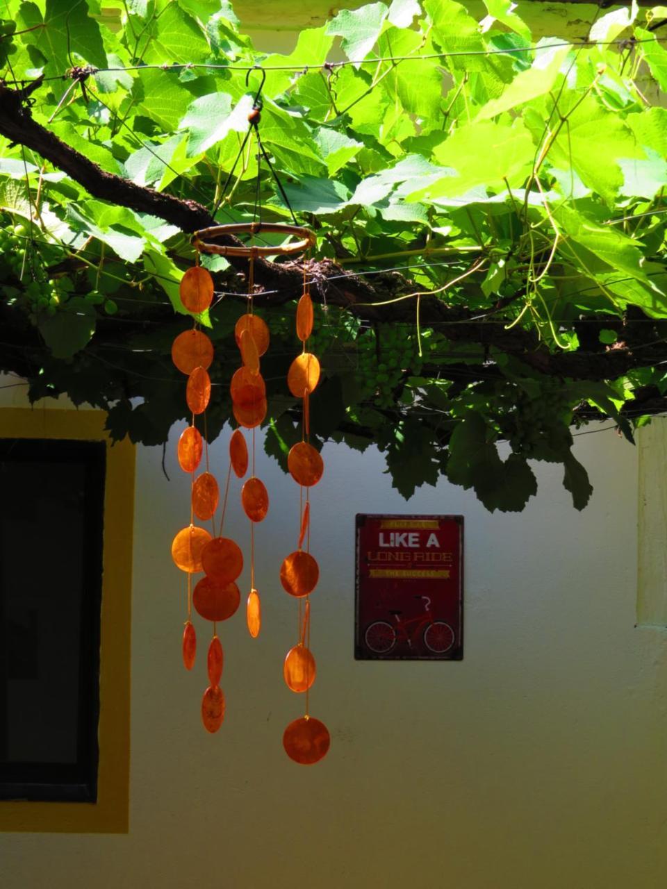 Chicamocha Hostel ซานกิล ภายนอก รูปภาพ